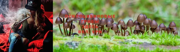 гашиш Вязники