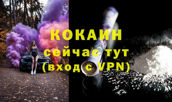 бошки Вяземский