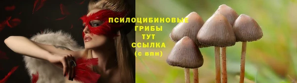 альфа пвп Вязьма