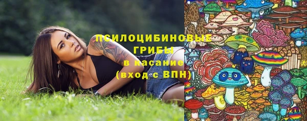 бошки Вяземский