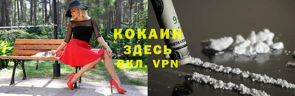 бошки Вяземский