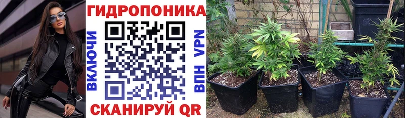 Марихуана OG Kush  Купить где  Лихославль 